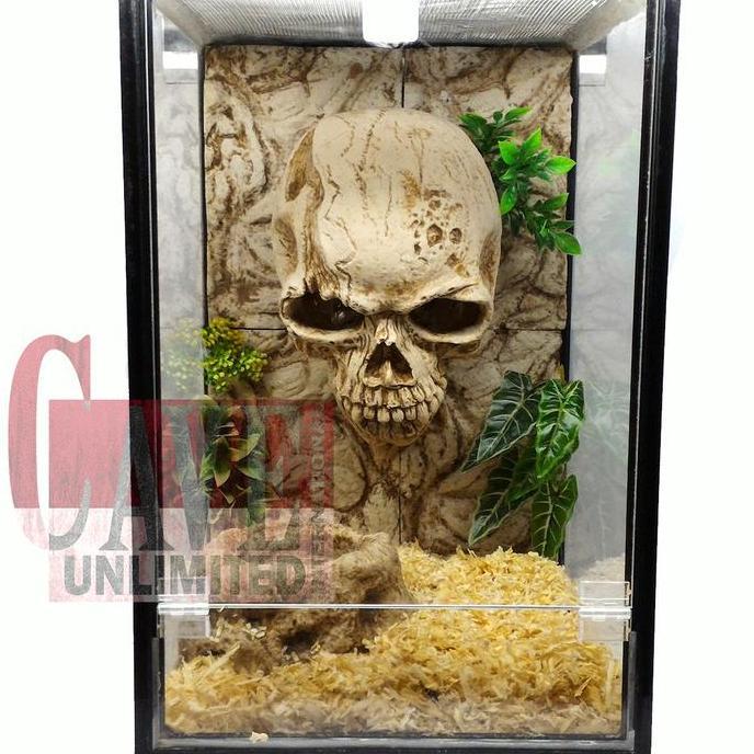 BG003 Background CUSTOM kandang terrarium reptile kura aquarium ikan