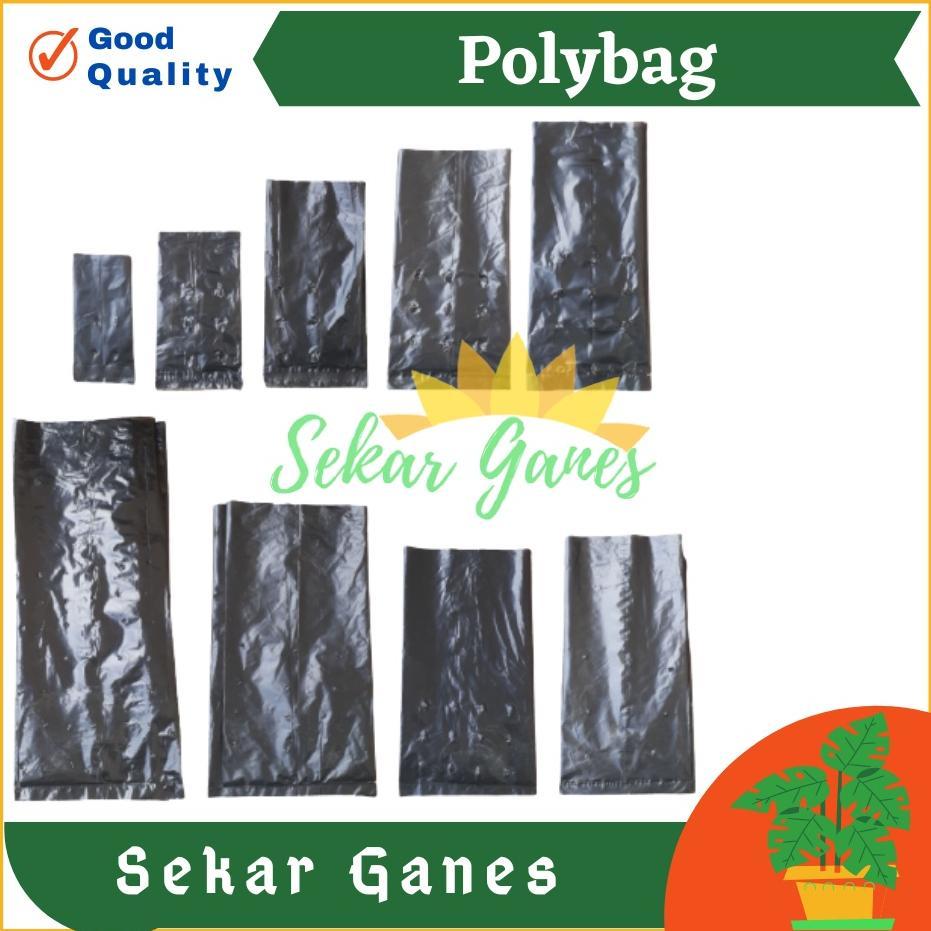 Promo Cod 1 Polybag Tanaman Polibag Tebal Kecil Sedang 10X12 15X15 20X20 25X25 30X30 Pot Plastik Pol