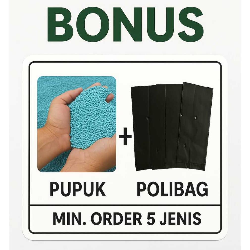 Promo Cod Benih Tanaman Sayuran Seribuan I Benih Super Unggul I Benih Sayuran Lengkap I Bibit Unggul