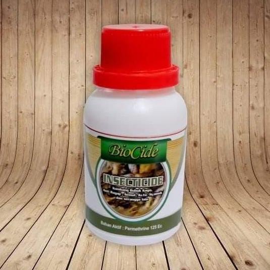 Anti rayap Biocide Insecticide CO