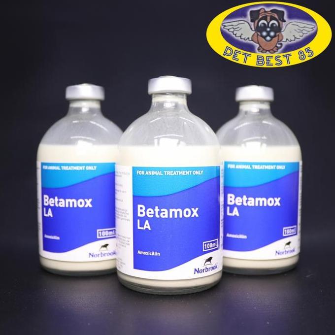 Betamox LA 100ml Injection Suspension Antimicroba Semua Hewan/Pet