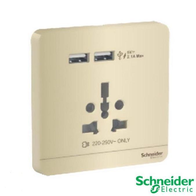 Promo SCHNEIDER AVATARON INT SOCKET W USB 2.1A WINE GOLD E8342616USB_WG Diskon