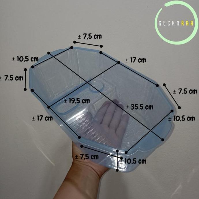 Kandang Akuarium Kura kura Turtle Kura kura Brazil Ukuran Kecil (S)