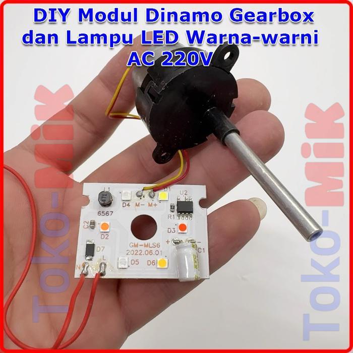 DIY Mini Dinamo AC 220V Motor Gear Box Gearbox Speed Reduction Gigi Reduksi Kecepatan Rendah Torsi T