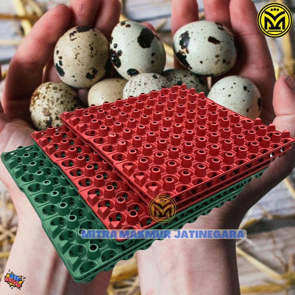 Krat Telur Puyuh Plastik Tray 90 Butir Egg Tray Telor Puyuh Tebal