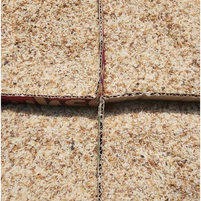 Poa/Telur Rayap 100gram - Campuran umpan pancing Poa super kering