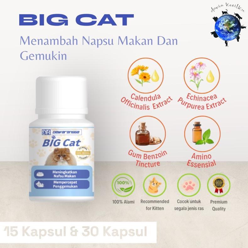 Big Cat Dewarangga Vitamin Penambah Napsu Makan & Menggemukkan Kucing