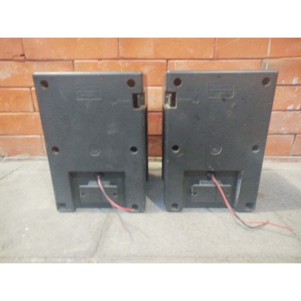 Speaker Polytron Compo Grand Bazzoke