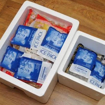 Promo Ice Gel 200Gr Kecil Ice Pack Medium - Tahan Lama- Pendingin Asi Kipas Cod
