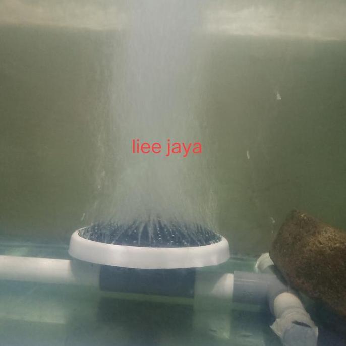 Fine Bubble Diffuser