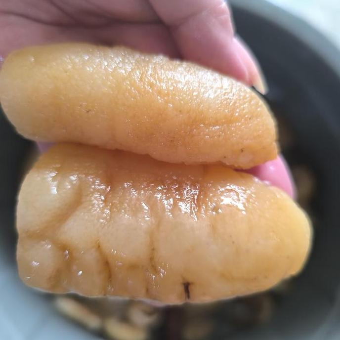 Terlaris Teripang Laut / Sea Cucumber /Haisom Basah Siap Masak