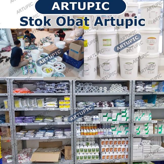 Solvit 300 Ml Asam Amino Lengkap Vitamin Untuk Ayam Hewan Unggas Medion Artupic