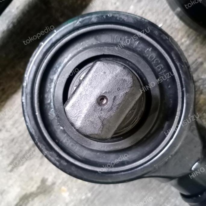 Stang Dingdong / As Dingdong / Tulang Anjing Hino  Sale