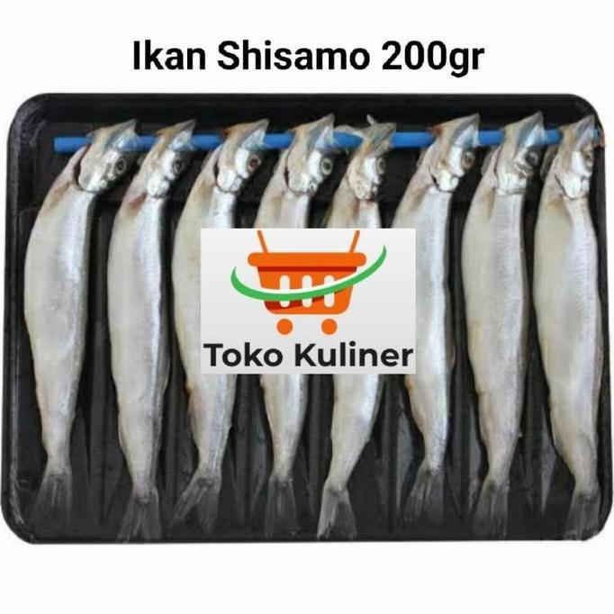 Terlaris Ikan Shisamo Telur Frozen
