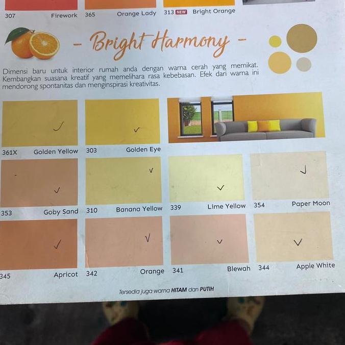 NEW cat tembok paragon 20 kg ( warna 2 )