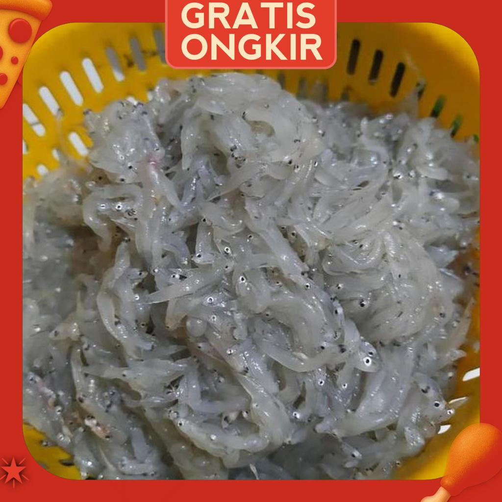 Ikan Teri Nasi Basah Segar