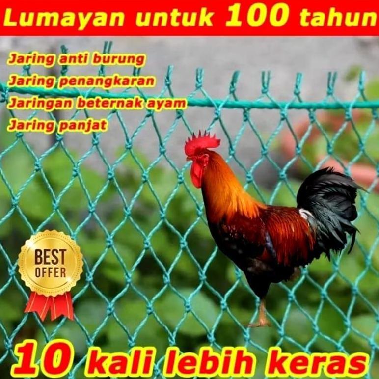 Bisa Cod Cod 1,5 Meter X 10 Meter Lubang 1,5 X 1,5Cm Jaring Pagar Ayam Atau Bebek Hrg 1 Pcs ><