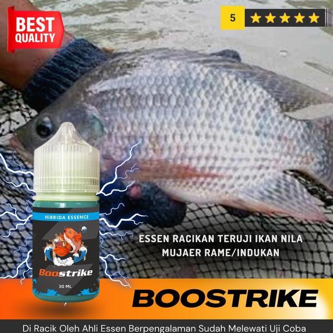 Essen Oplosan Ikan Nila Media Pelet - Umpan Terbaik untuk Mancing Ikan