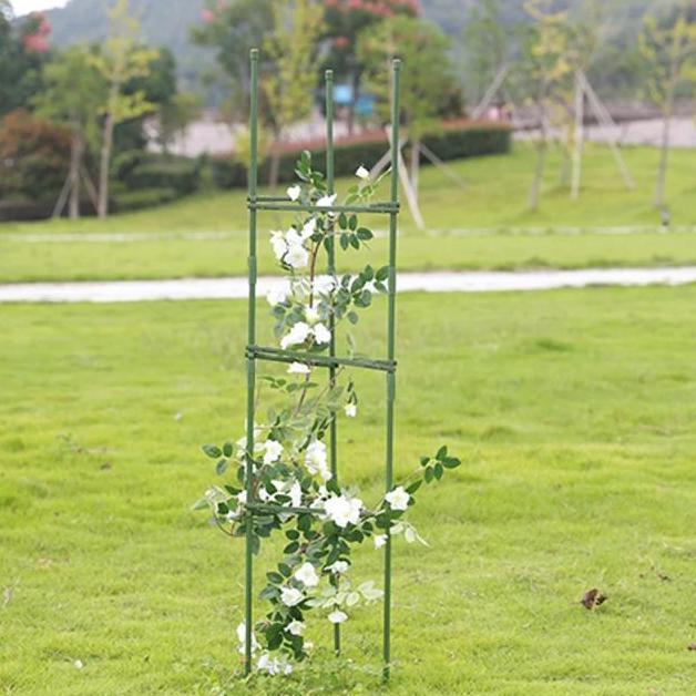 penyangga tanaman / rambatan tanaman anggur