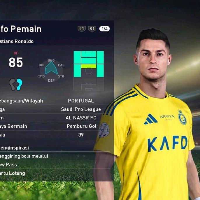 DAENG PATCH PC & PS4Hen + Hdd 250gb usb 3.0