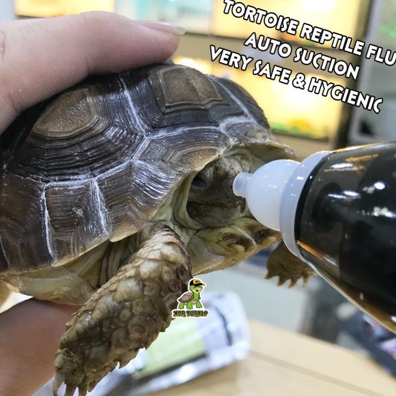 PENYEDOT INGUS PADA TORTO REPTIL KUCING MUDAH DIGUNAKAN SULCATA ISTAR PARDALIS ALDABRA XDR TURTLE ak