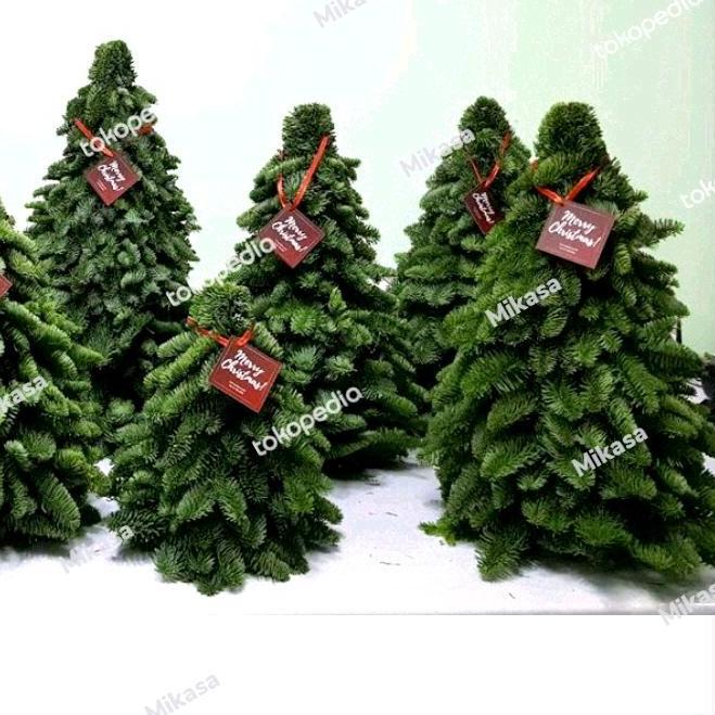 Terlaris Nobilis Christmas Tree Asli Import Pohon Fresh Asli