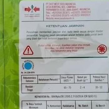 New- Benih cabe rawit DEWATA 43 F1 2.250 butir benih cabe rawit putih