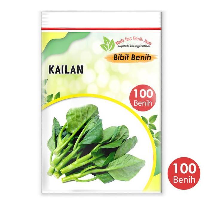 Benih sayuran kailan 100 biji / bibit kailan benih tanaman
