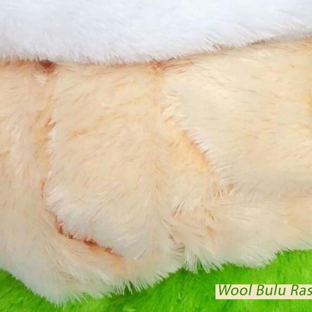 kain boneka rasfur / alas foto bulu / kain bulu panjang