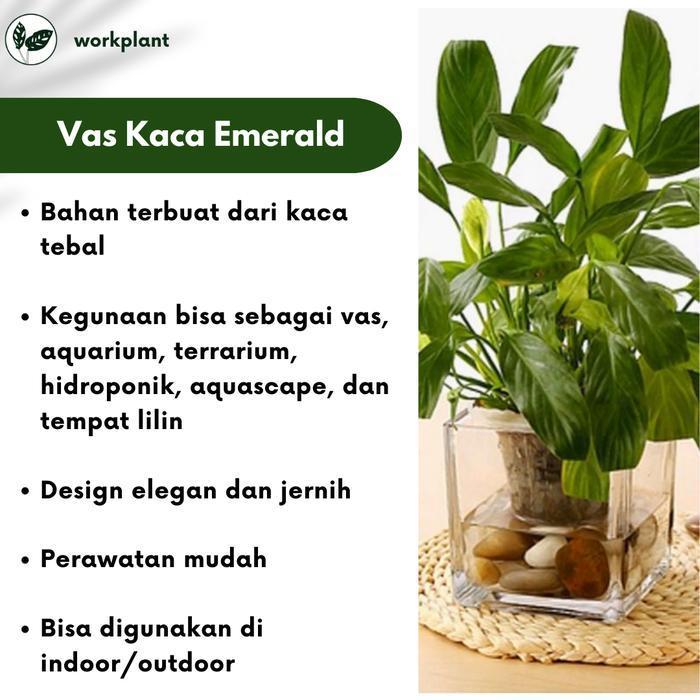 Vas Kaca Emerald - Vas Bunga Kaca Bening Kotak Vas Bunga Kotak Pot