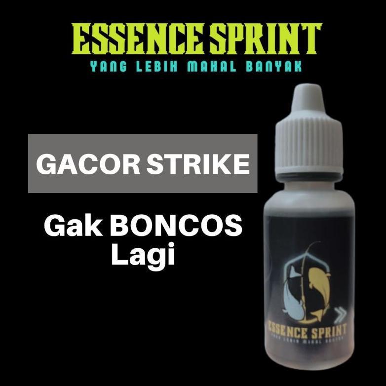 READYGan- Essen Sprint - Essen Oplosan Galatama Pengumpul Rame Jahat (Essen Ikan Mas Babon, Nila, Ba