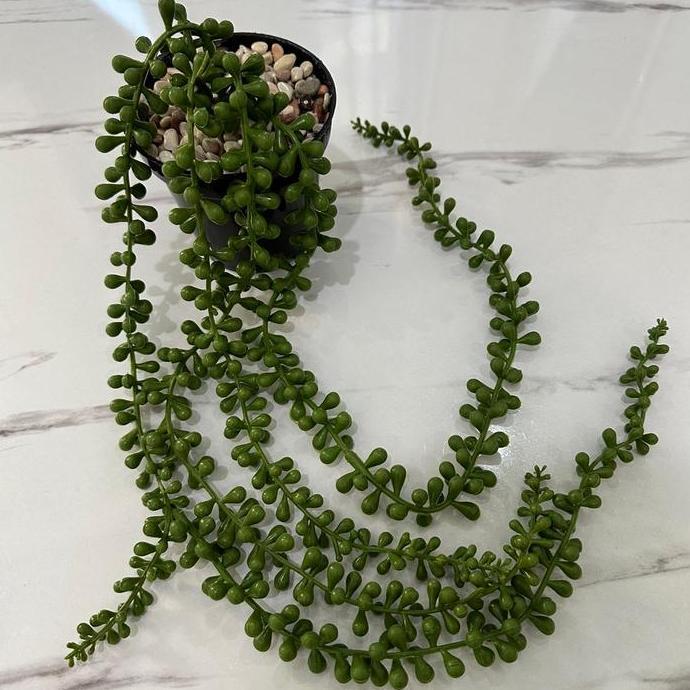 Lansungkirim- Tanaman Sukulen Juntai Palsu Pot 10Cm Latex Plastik