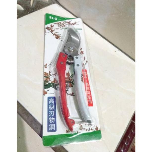 Ytta- Soligen  Gunting Dahan Gunting Tanaman Gunting Stek Soligen