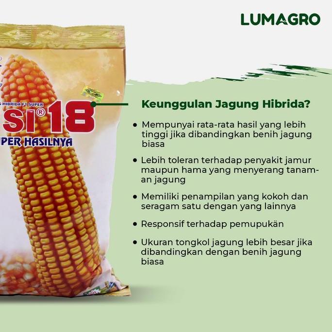 Grdn- Benih Jagung Bisi 2 Bisi18 Bisi321 Simetal 1Kg Bibit Hibrida Unggul Tahan Penyakit Bulai