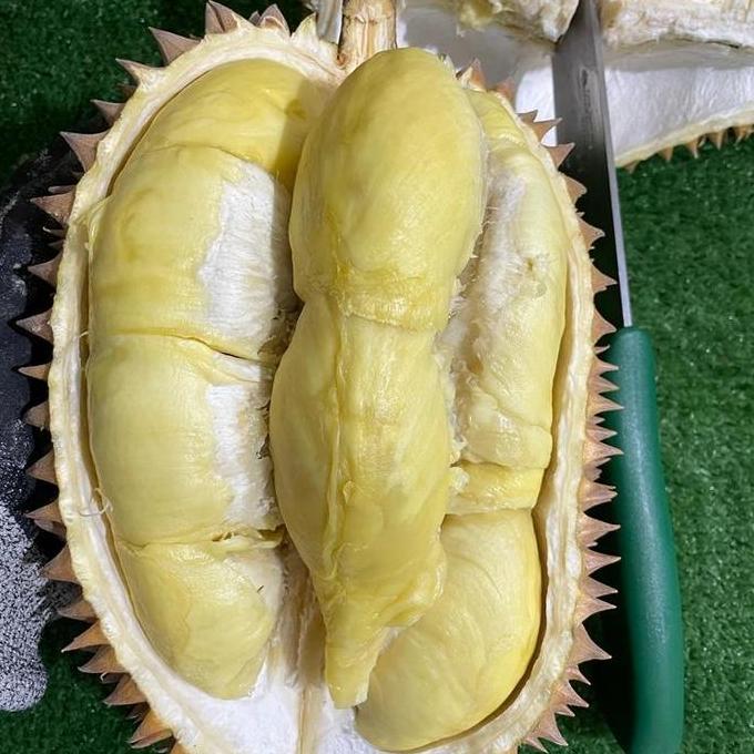 Fruxi- Durian Montong Palu Parigi Utuhan/Butiran