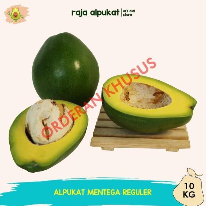 Fruxi- Grosir Alpukat Mentega Reguler (10 Kg) - Raja Alpukat