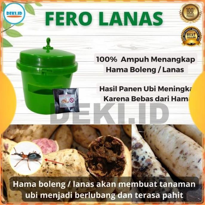 DISKON Ferolanas Feromon Pengendali Hama Boleng Taan Ubi Jalar Fero Lanas READY STOCK