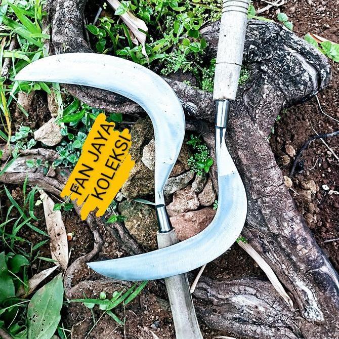 ARIT SABIT RUMPUT...SUPER TAJAM,ASLI PRODUK MADURA...