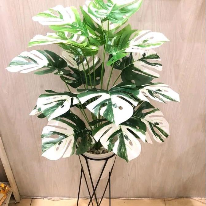 Dkrs- Tanaman Hias Monstera Varigata Artificial