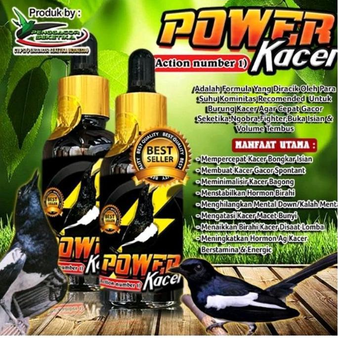 NEW - Power Kacer juara lomba  suplemen penggacor burung Seketika