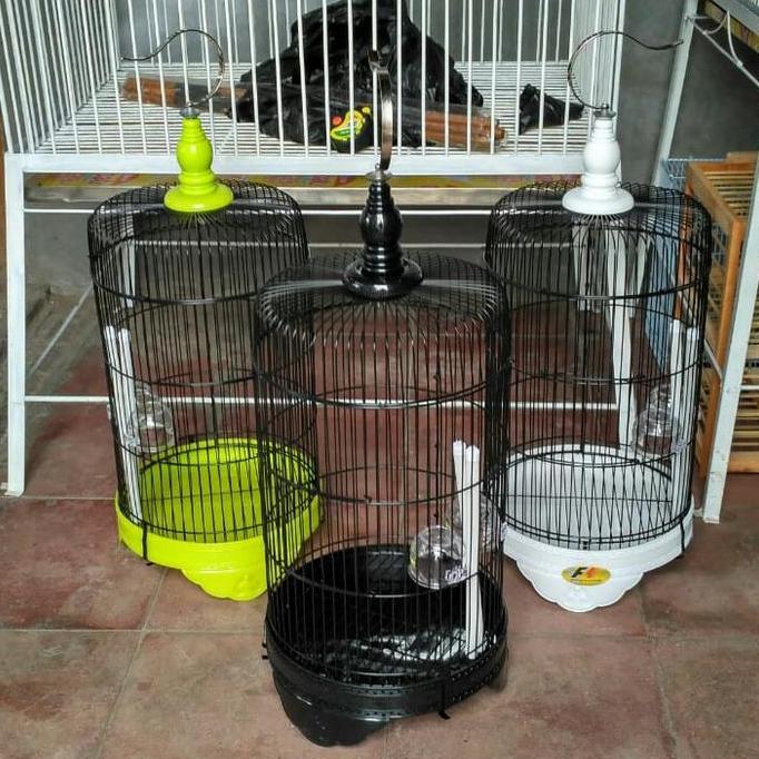 TERLARIS - Kandang burung pleci dll diameter 26 cm besi bulat kecil import