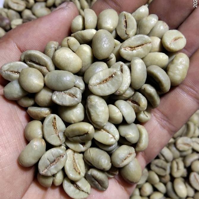 Greenbean Robusta Dampit-Java Robusta 1Kg WAR