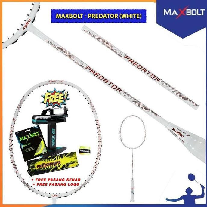 New Maxbolt Predator Raket Badminton Original