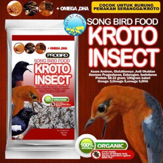 PAKAN BURUNG MURAI KACER KROTO INSECT PROBIRD
