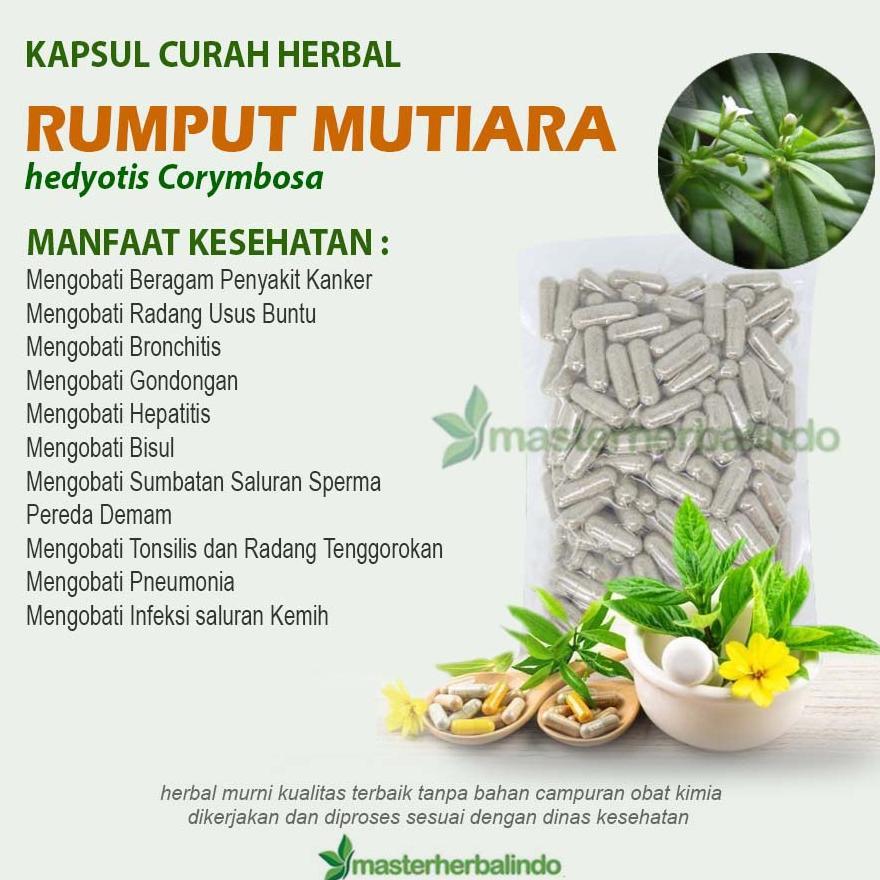 Snackwell RUMPUT MUTIARA 100 Kapsul Curah Herbal Sumbatan Saluran Sperma Kanker
