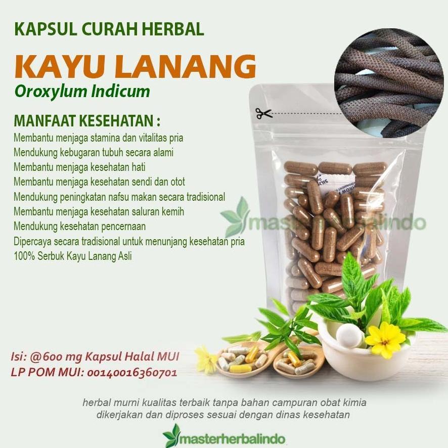 Snackwell KAYU LANANG 100 Kapsul Curah Bahan Herbal Tradisional