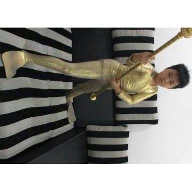 ASLI Baju Kostum Renang Mermaid Cowok / Kostum Katak SET NEW *** READY STOCK