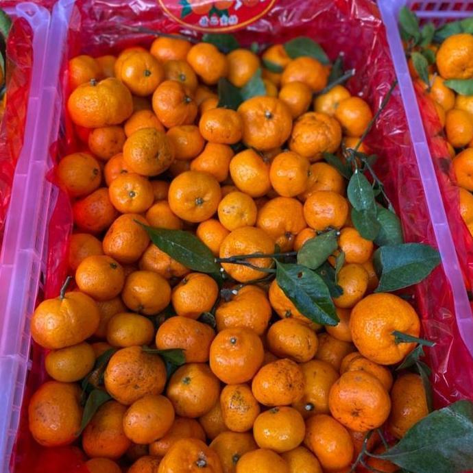 Jeruk Santang Jeruk Mandarin Jeruk Kecil Yumsun 6kg