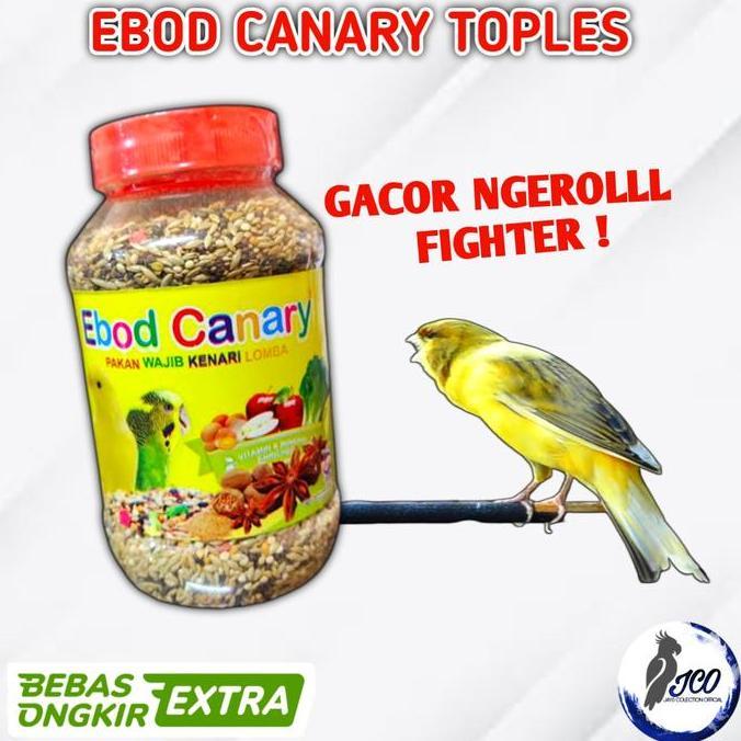 Brixd- Pakan Makanan Lomba Burung Kenari Ebod Canary Toples Ebod Kenari Toples Gacor