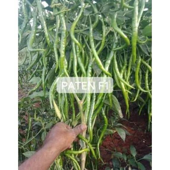 Gaerdenpic- Benih Cabe Merah Keriting Hibrida Paten F1 10Gr Toleran Virus Bibit Cabai Cmk